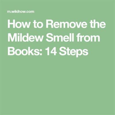 how to remove mildew smell from books and why it's important to maintain the health of your home environment