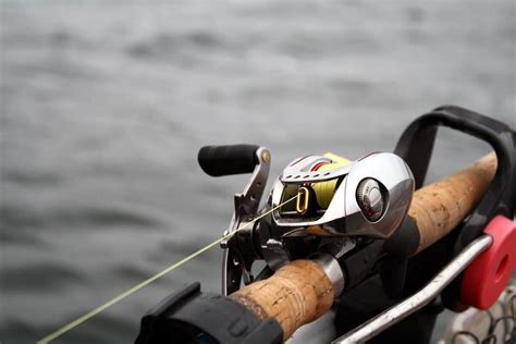 What Size Braid for Bass Fishing: A Detailed Exploration of Factors to Consider